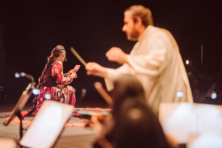 Festivais — fotografia de espetáculo por Rapha Garcia